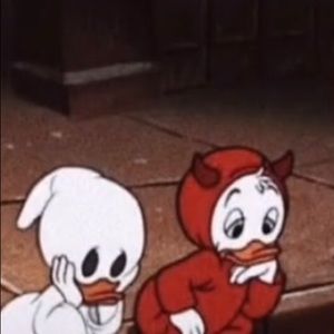 Meet your Posher, Oscar